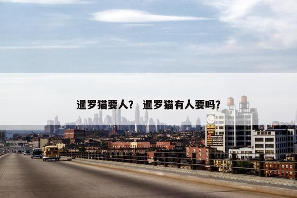 暹罗猫要人？ 暹罗猫有人要吗？
