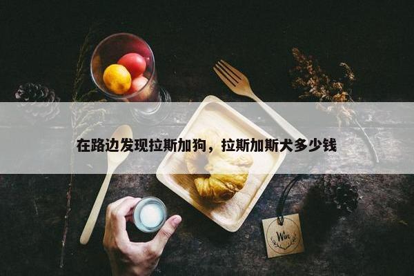 在路边发现拉斯加狗，拉斯加斯犬多少钱