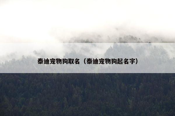 泰迪宠物狗取名（泰迪宠物狗起名字）