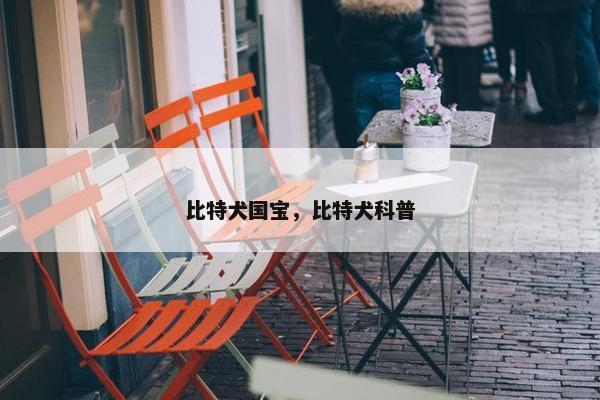 比特犬国宝，比特犬科普