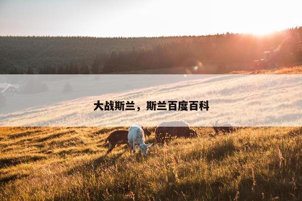 大战斯兰，斯兰百度百科