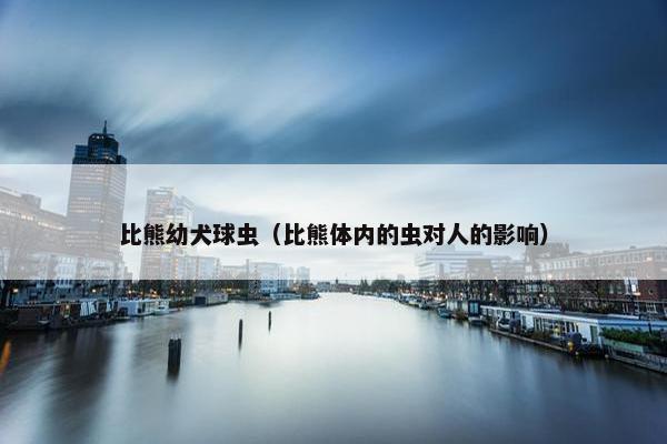 比熊幼犬球虫（比熊体内的虫对人的影响）