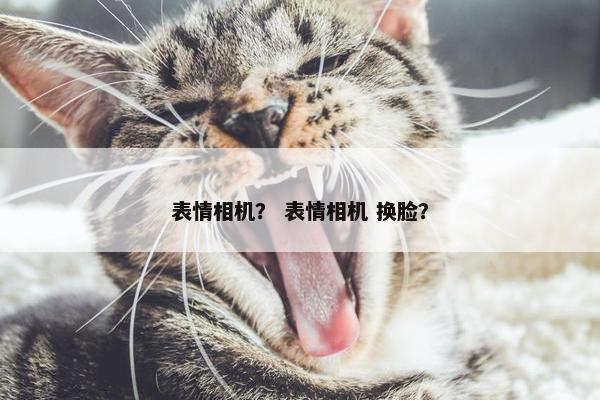 表情相机？ 表情相机 换脸？