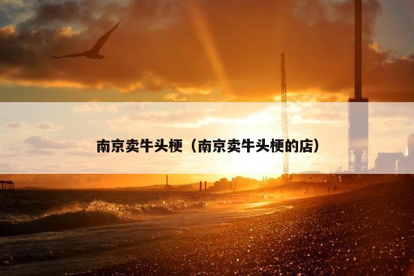 南京卖牛头梗（南京卖牛头梗的店）