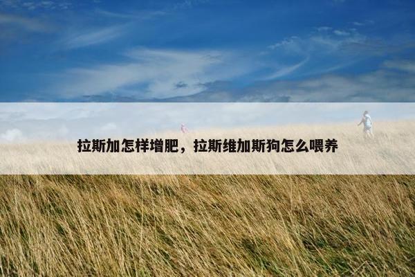 拉斯加怎样增肥，拉斯维加斯狗怎么喂养