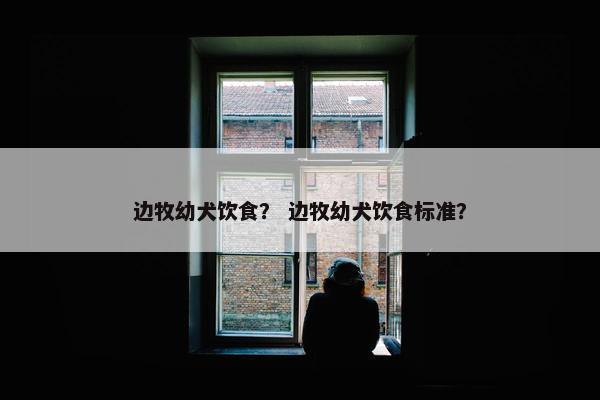 边牧幼犬饮食？ 边牧幼犬饮食标准？