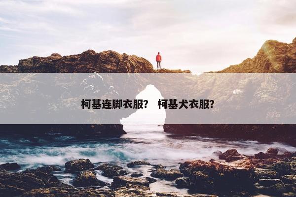 柯基连脚衣服？ 柯基犬衣服？