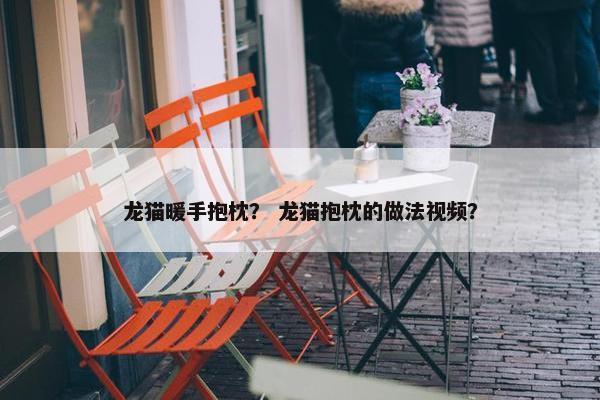 龙猫暖手抱枕？ 龙猫抱枕的做法视频？