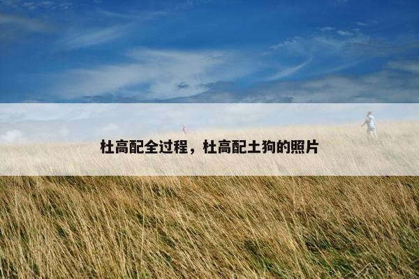 杜高配全过程，杜高配土狗的照片