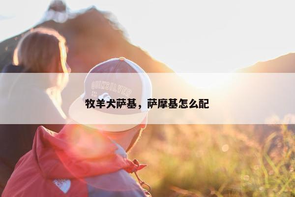 牧羊犬萨基，萨摩基怎么配