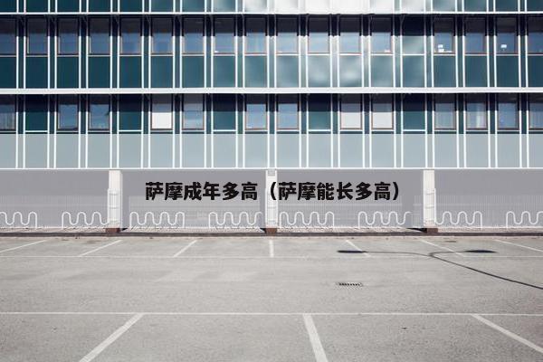 萨摩成年多高（萨摩能长多高）