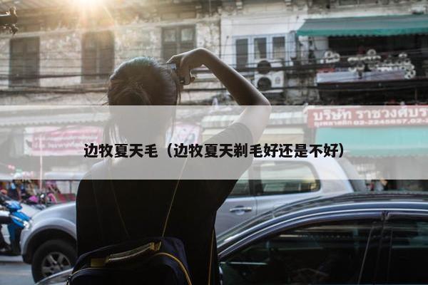 边牧夏天毛（边牧夏天剃毛好还是不好）