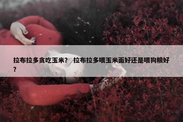 拉布拉多贪吃玉米？ 拉布拉多喂玉米面好还是喂狗粮好？