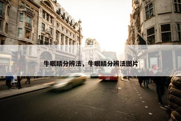 牛眼睛分辨法，牛眼睛分辨法图片