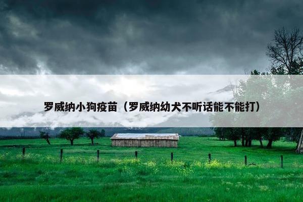 罗威纳小狗疫苗（罗威纳幼犬不听话能不能打）