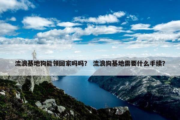 流浪基地狗能领回家吗吗？ 流浪狗基地需要什么手续？