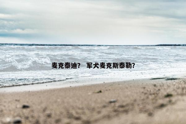 麦克泰迪？ 军犬麦克斯泰勒？
