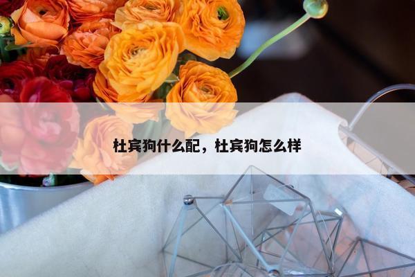 杜宾狗什么配，杜宾狗怎么样