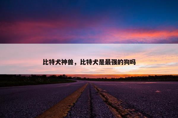 比特犬神兽，比特犬是最强的狗吗