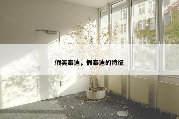 假笑泰迪，假泰迪的特征