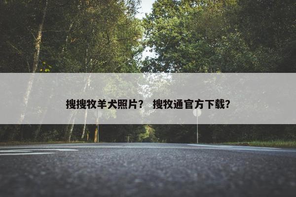 搜搜牧羊犬照片？ 搜牧通官方下载？