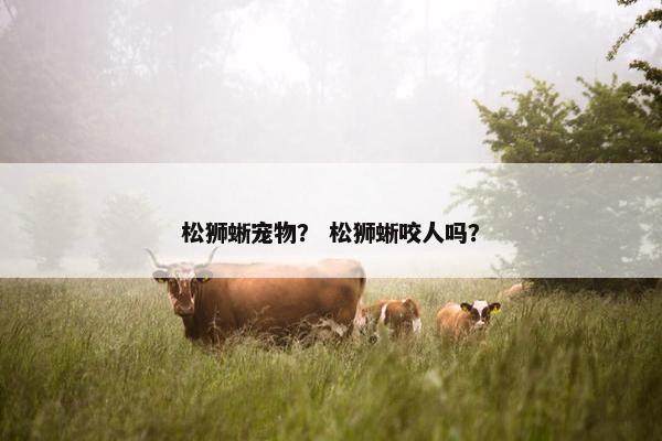 松狮蜥宠物？ 松狮蜥咬人吗？