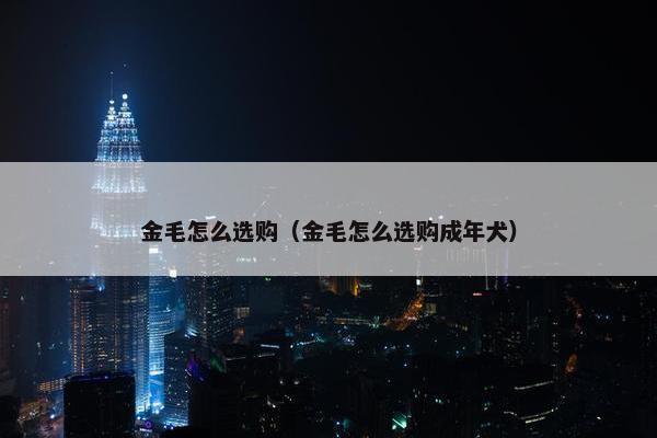 金毛怎么选购（金毛怎么选购成年犬）