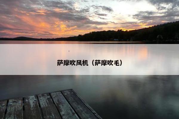 萨摩吹风机（萨摩吹毛）