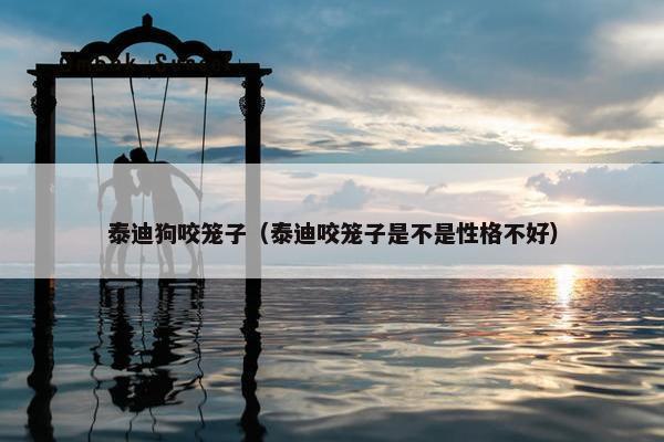 泰迪狗咬笼子（泰迪咬笼子是不是性格不好）