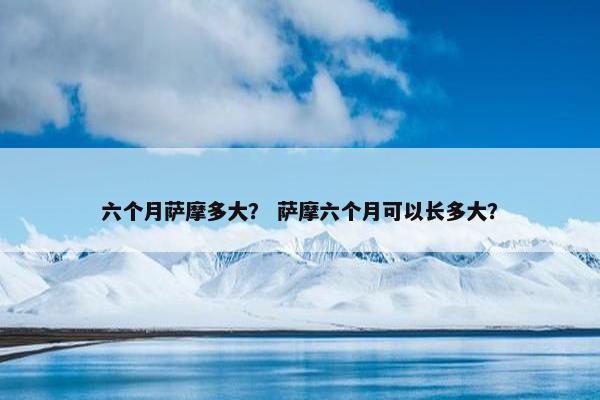 六个月萨摩多大？ 萨摩六个月可以长多大？