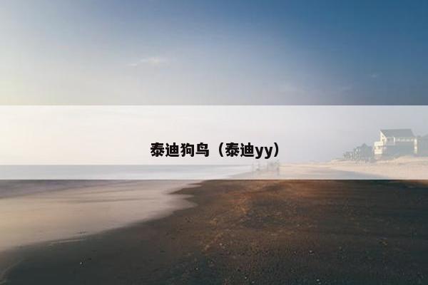 泰迪狗鸟（泰迪yy）