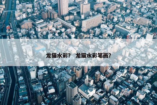 龙猫水彩？ 龙猫水彩笔画？