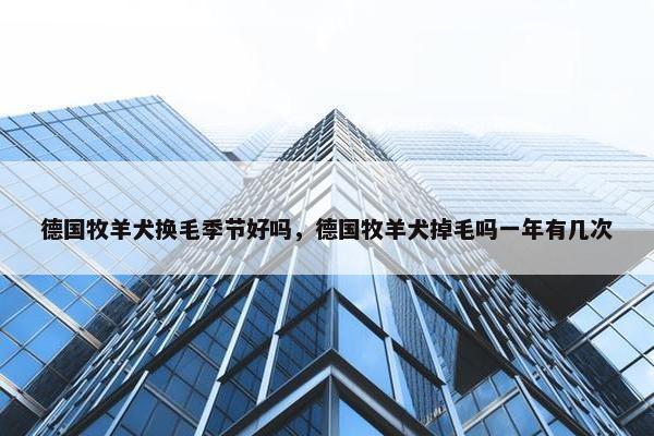 德国牧羊犬换毛季节好吗，德国牧羊犬掉毛吗一年有几次