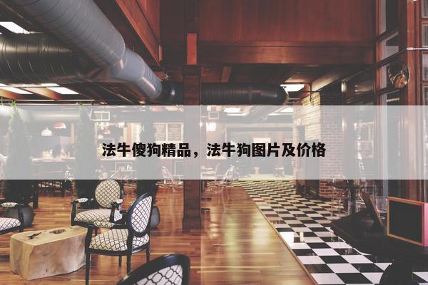 法牛傻狗精品，法牛狗图片及价格