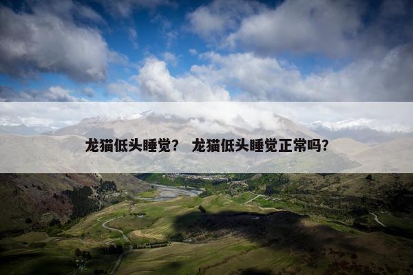 龙猫低头睡觉？ 龙猫低头睡觉正常吗？