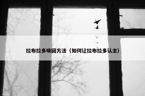 拉布拉多唤回方法（如何让拉布拉多认主）