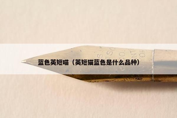 蓝色英短喵（英短猫蓝色是什么品种）