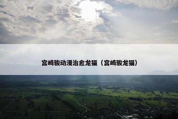 宫崎骏动漫治愈龙猫（宫崎骏龙猫）