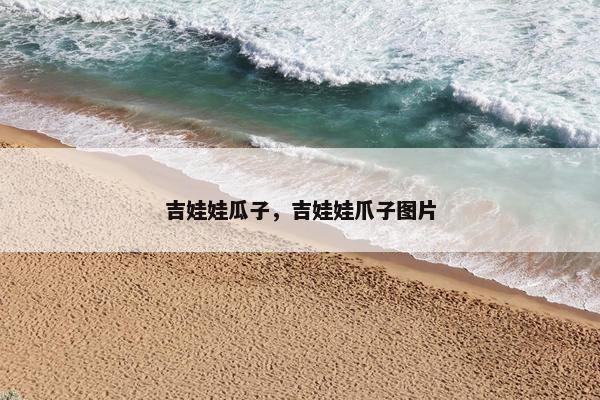 吉娃娃瓜子，吉娃娃爪子图片
