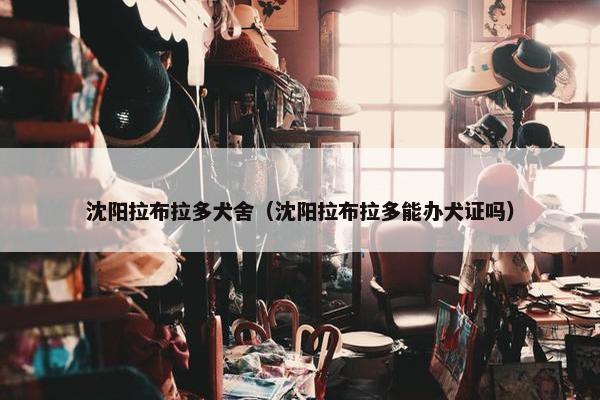 沈阳拉布拉多犬舍（沈阳拉布拉多能办犬证吗）