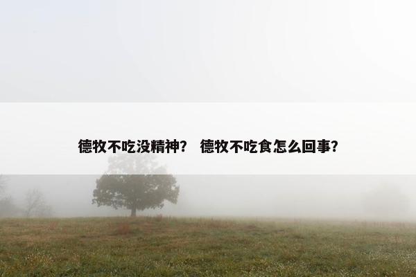 德牧不吃没精神？ 德牧不吃食怎么回事？