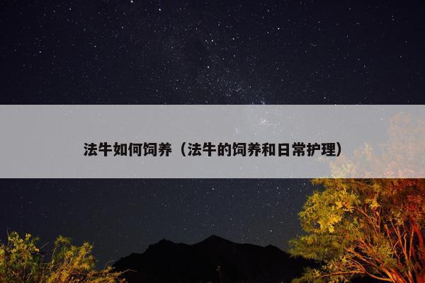 法牛如何饲养（法牛的饲养和日常护理）