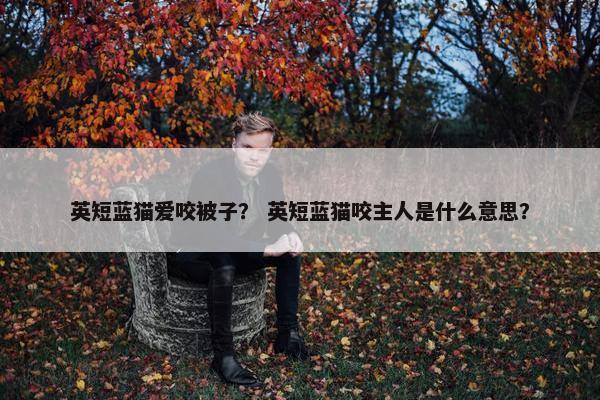 英短蓝猫爱咬被子？ 英短蓝猫咬主人是什么意思？