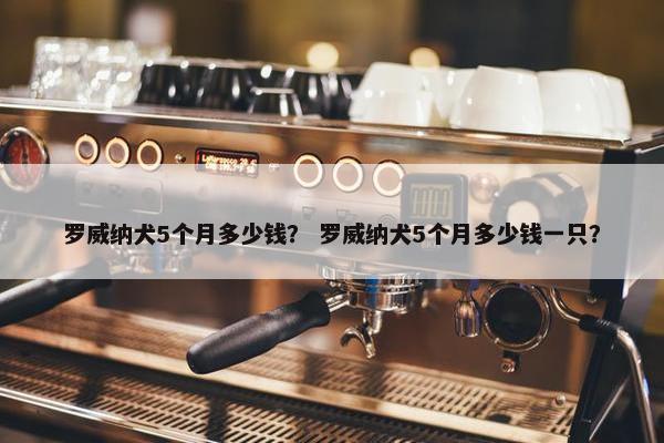 罗威纳犬5个月多少钱？ 罗威纳犬5个月多少钱一只？