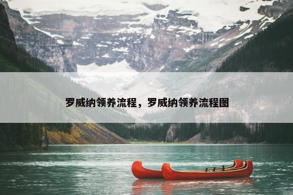 罗威纳领养流程，罗威纳领养流程图