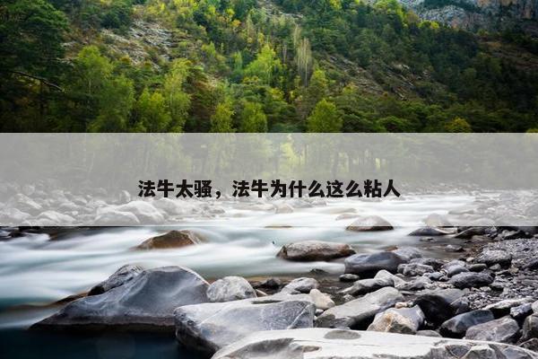 法牛太骚，法牛为什么这么粘人