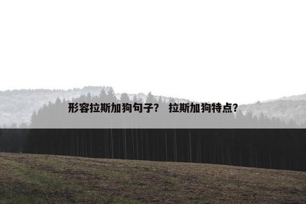 形容拉斯加狗句子？ 拉斯加狗特点？