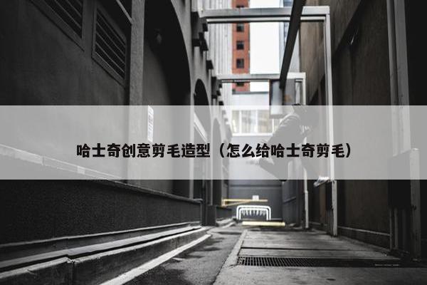 哈士奇创意剪毛造型（怎么给哈士奇剪毛）