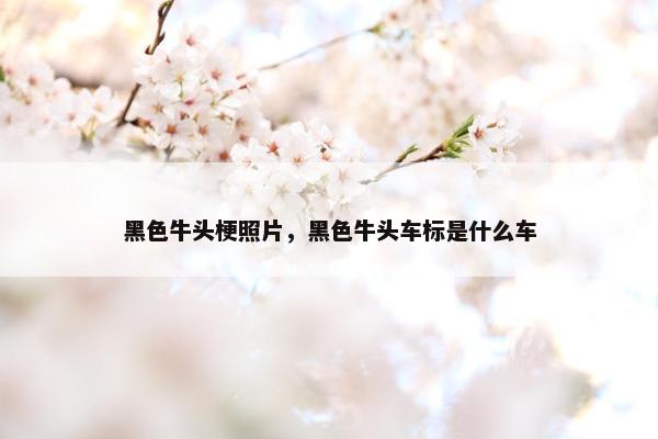 黑色牛头梗照片，黑色牛头车标是什么车