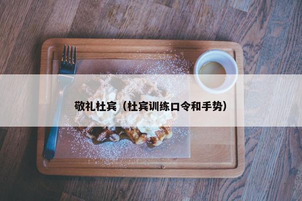 敬礼杜宾（杜宾训练口令和手势）